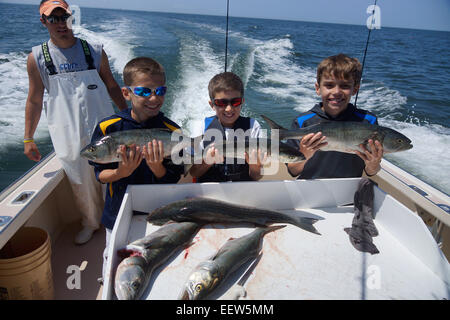 Bluefishing auf ein Charterboot in Clinton, CT, USA Stockfoto