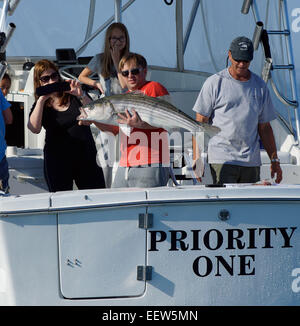 Bluefishing auf ein Charterboot in Clinton, CT, USA Stockfoto