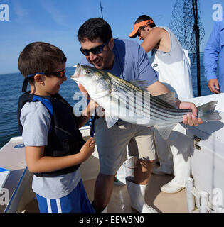 Bluefishing auf ein Charterboot in Clinton, CT, USA Stockfoto