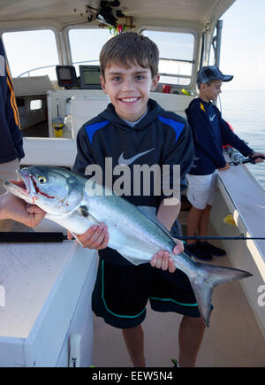 Bluefishing auf ein Charterboot in Clinton, CT, USA Stockfoto