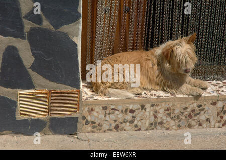 Las Alpujarras, Ferreirola, Alpujarras Mountains Area, Provinz Granada, Andalusien, Spanien Stockfoto