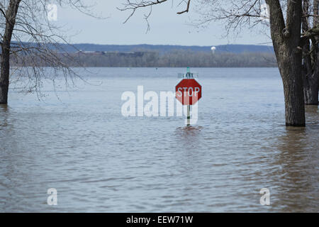 Stop-Schild heben sich aus Hochwasser Stockfoto
