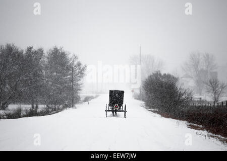 Amische Buggy auf einer verschneiten Landstraße im Mecosta County in der Nähe von großen Stromschnellen und Stanwood, Michigan, USA Stockfoto