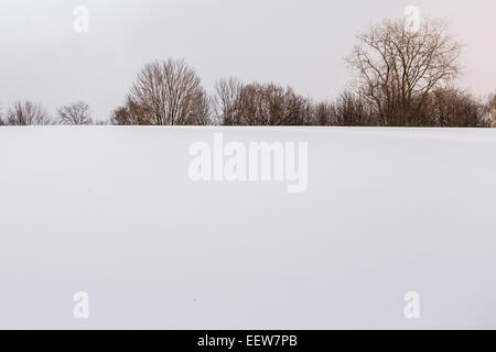 Schneebedeckten Feld mit Baum Silhouetten von einem Waldstück im Mecosta County in der Nähe von großen Stromschnellen und Stanwood, Michigan, USA Stockfoto