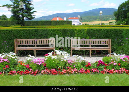 Zwei hölzerne Bänke in einem wunderschönen Park-Garten Stockfoto