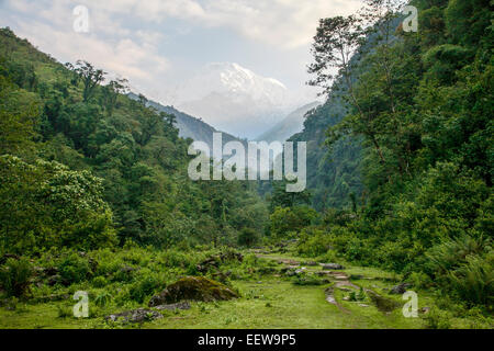 Der Blick auf Annapurna South aus Landruk Tal auf das Annapurna Base Camp trek Stockfoto