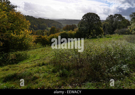 Herbstliche pastorale Szenen in der Nähe von Bromyard bei Tedstone Delamere, Herefordshire, England mit Bäumen und Laub Stockfoto