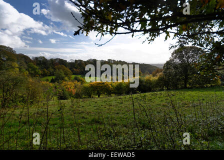 Herbstliche pastorale Szenen in der Nähe von Bromyard bei Tedstone Delamere, Herefordshire, England mit Bäumen und Laub Stockfoto