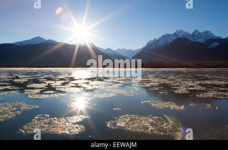 Schwimmendes Eis am Chilkat River im südöstlichen Alaska an einem sonnigen Tag. Stockfoto