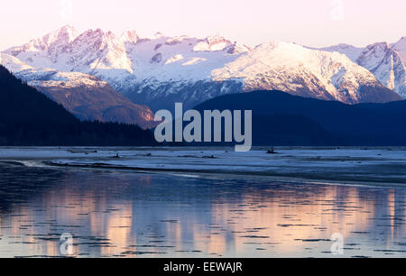 Rosa Glut bei Sonnenuntergang am Chilkat River in Alaska mit Spiegelungen im Wasser. Stockfoto