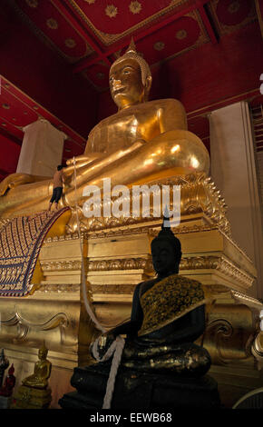 THAILAND - Phra Mongkons Bophit, ein 17 Meter (55 Fuß) hohen Buddha (inkl. Sockel) am Wat Mongkons Bophit in Ayutthaya. Stockfoto