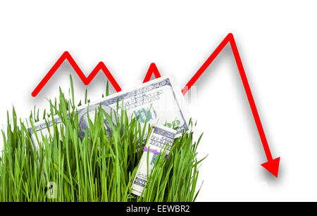 100-Dollar-Scheine wächst in dem grünen Rasen, Pfeil nach unten fallen Stockfoto