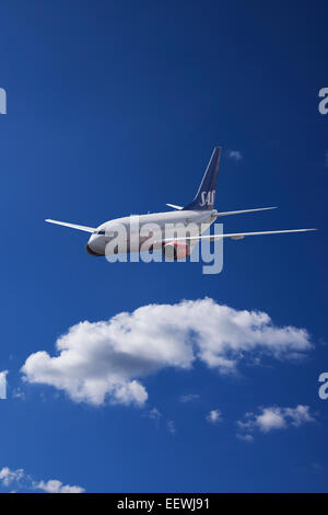 LN-RRR SAS Scandinavian Airlines Boeing 737-683 im Flug Stockfoto