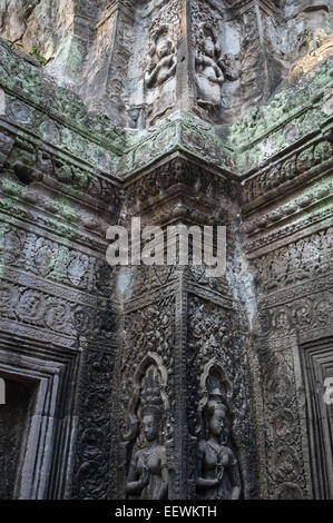 Ruiniert Relief Schnitzerei im Ta Prohm, Tempel, Angkor Wat, Kambodscha Stockfoto