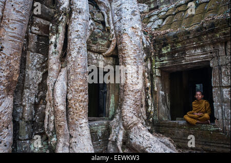 Junger Mönch sitzen in den Schwad neben beeindruckenden Baumwurzeln am zerstörten Tempel Ta Prohm in Angkor Wat, Kambodscha Stockfoto