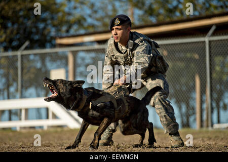 US Air Force Staff Sgt Mark Devine bereitet, während eine kontrollierte Aggression Übung auf der gemeinsamen Basis San Antonio-Lackland 31. Oktober 2014 in San Antonio, Texas JJany freizugeben. Stockfoto