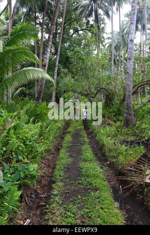 MELVERT, VANUATU-Oktober 7, 2014: Guide führt die Gruppe von Touristen durch den Dschungel mit einem Einheimischen am 7. Oktober in Melvert-Van Stockfoto