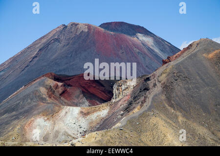 Rote Krater mit Mt Nghauruhoe im Hintergrund. Tongariro National Park. Neuseeland mit Wanderer den Grat absteigend Stockfoto