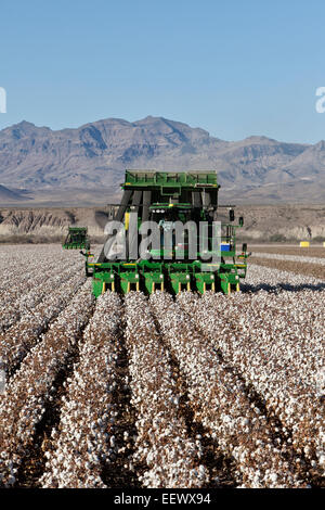 Landwirt 7760 John Deere Cotton Pickers Ernte Feld in Betrieb. Stockfoto