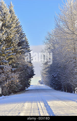 Ein vertikales Bild eine ländliche zweispurige Straße mit Schnee bedeckt. Stockfoto