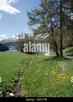 Blick auf den See bei St. Moritz in der Schweiz Stockfoto