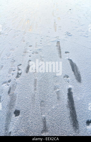 Fußabdrücke auf dem Eis Stockfoto