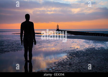 Formby - Rettungsboot Straße Strand, Liverpool, Merseyside, Großbritannien, 22. Januar 2015. UK Wetter. Gusseisen Männer in einer Pfütze auf dem Strand stehen blicken auf das Meer und die untergehende Sonne. Ruhe am Abend nach einer Flut an Crosby Strand. Die andere Stelle zahlen - jeder mit einem Gewicht von 650 Kilo - sind von Abgüssen des Künstlers, gebildet (Anthony Gormley), eigenen Körper stehen auf dem Strand, alle mit Meerblick. Nachdem ich vorher in Cuxhaven in Deutschland, Stavanger in Norwegen und in De Panne in Belgien gesehen worden, "einem anderen Ort" ist nun ein fester Bestandteil im Vereinigten Königreich. Stockfoto