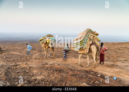 Afrika, Äthiopien, Danakil, Ferne Nomaden Wohnwagen Stockfoto