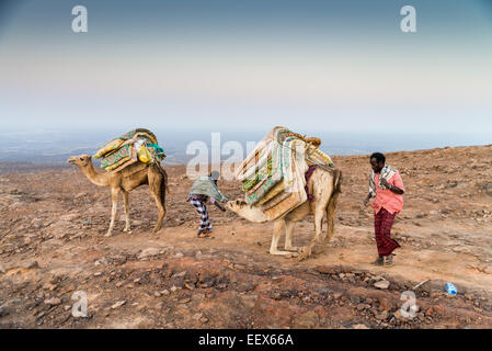 Afrika, Äthiopien, Danakil, Ferne Nomaden Wohnwagen Stockfoto