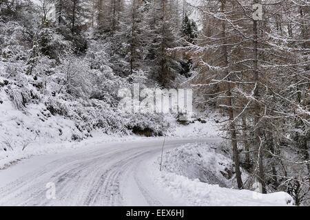 Monte Carlo, Monaco. 22. Januar 2015. WRC Rallye Monte Carlo, Stufe 1 auf einem verschneiten Kurs. Schnee fällt stark auf dem Golfplatz Credit: Action Plus Sport Bilder/Alamy Live News Stockfoto