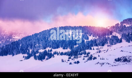 Winterlandschaft der Berge, schöne rosa Sonnenuntergang über bergige Nadelwald, ruhigen Panoramablick, Schönheit des Winters Stockfoto