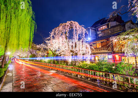Kyoto, Japan im historischen Stadtteil Gion während der Frühjahrssaison. Stockfoto