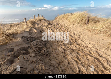 Ausgetretenen Pfad zwischen den Dünen mit Blick auf die Nordsee, in der Nähe von Katwijk Aan Zee, Südholland, Niederlande. Stockfoto