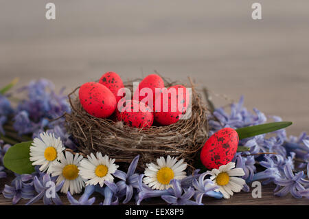 Wachtel-Ostereier im Nest und Frühling Blumen Stockfoto