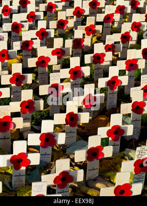 Zeilen der Royal British Legion Memorial Mohnblumen auf Holzkreuzen Krieg tot am Remembrance Day Gedenken Sonntag im Vereinigten Königreich Stockfoto