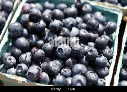 Heidelbeeren und Bauernhof frisch produzieren auf einem Bauernmarkt in CT USA Stockfoto