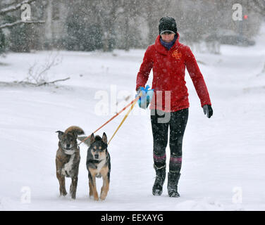 Merideth Sinclair von New Haven geht ihren beiden Hunden, Lucy (links) und Oscar entlang der Edgewood Avenue in New Haven im Schneesturm am Samstag. Stockfoto