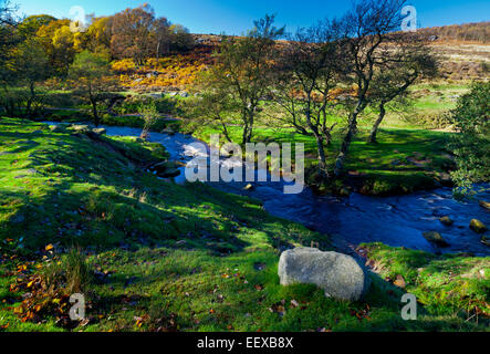 Burbage Brook im Herbst in der Nähe von Padley Schlucht auf der Longshaw Estate Peak District Nationalpark Derbyshire England UK Stockfoto