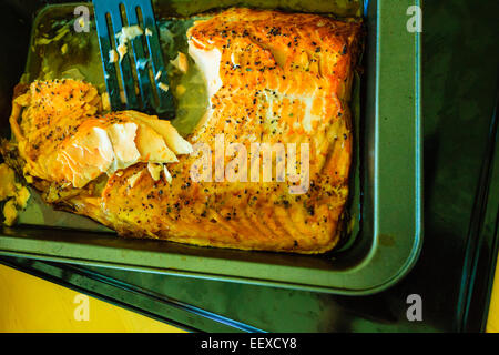 Fisch und Meeresfrüchte. Gegrilltes Lachssteak mit Kräutern und Gewürzen auf den Tisch. Stockfoto