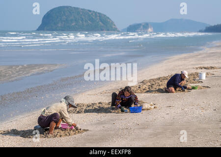 Das Leben ist ein Strand - Thai-Frauen sammeln Muscheln am Strand im Dolphin Bay, Prachuap Khiri Khan, Thailand. Stockfoto