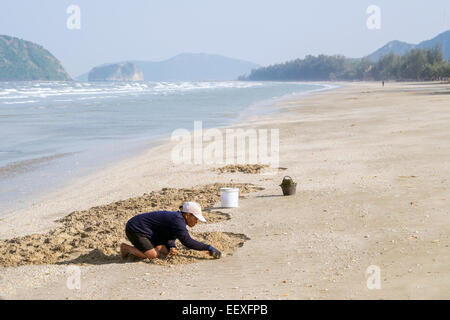 Das Leben ist ein Strand - Thai-Frau Kommissionierung Muscheln am Strand im Dolphin Bay, Prachuap Khiri Khan, Thailand. Stockfoto