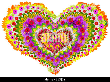 Herzen Mandala - spirituelle und rituelle Symbol im Buddhismus, hergestellt aus Sommerblumen. Isolierte abstrakte collage Stockfoto