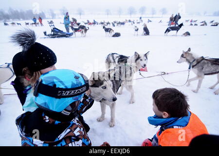 Sedivackuv langes Rennen, mushing, Musher, Hunde, Hundeschlitten, Rennen Stockfoto