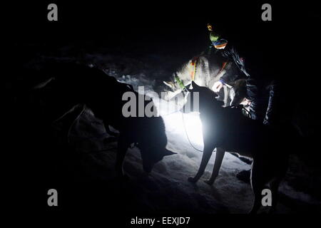 Sedivackuv langes Rennen, mushing, Musher, Hunde, Hundeschlitten, Rennen Stockfoto