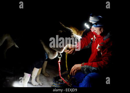 Sedivackuv langes Rennen, mushing, Musher, Hunde, Hundeschlitten, Rennen Stockfoto