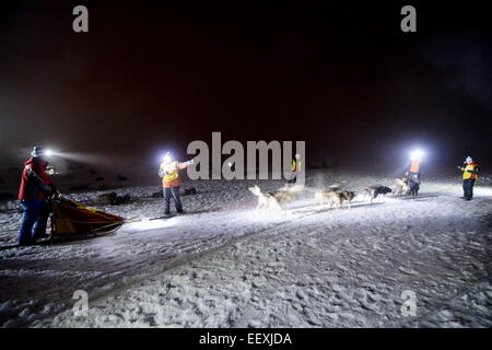 Sedivackuv langes Rennen, mushing, Musher, Hunde, Hundeschlitten, Rennen Stockfoto