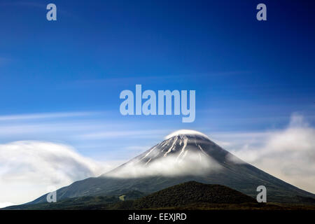 Mt. Fuji Stockfoto