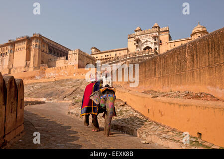 Elefanten Reiten für Touristen vor das Amber Fort, Jaipur, Rajasthan, Indien Stockfoto