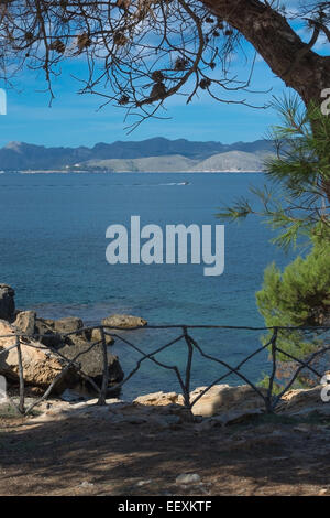 Pollensa Bay, Holz, Geländer, Boot und Kiefer-Baum. Stockfoto