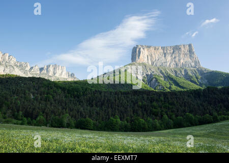 Frankreich Isere Parc Naturel Regional du Vercors (Vercors Naturpark) den Mont Aiguille (2086 m) über Wildblumen Stockfoto